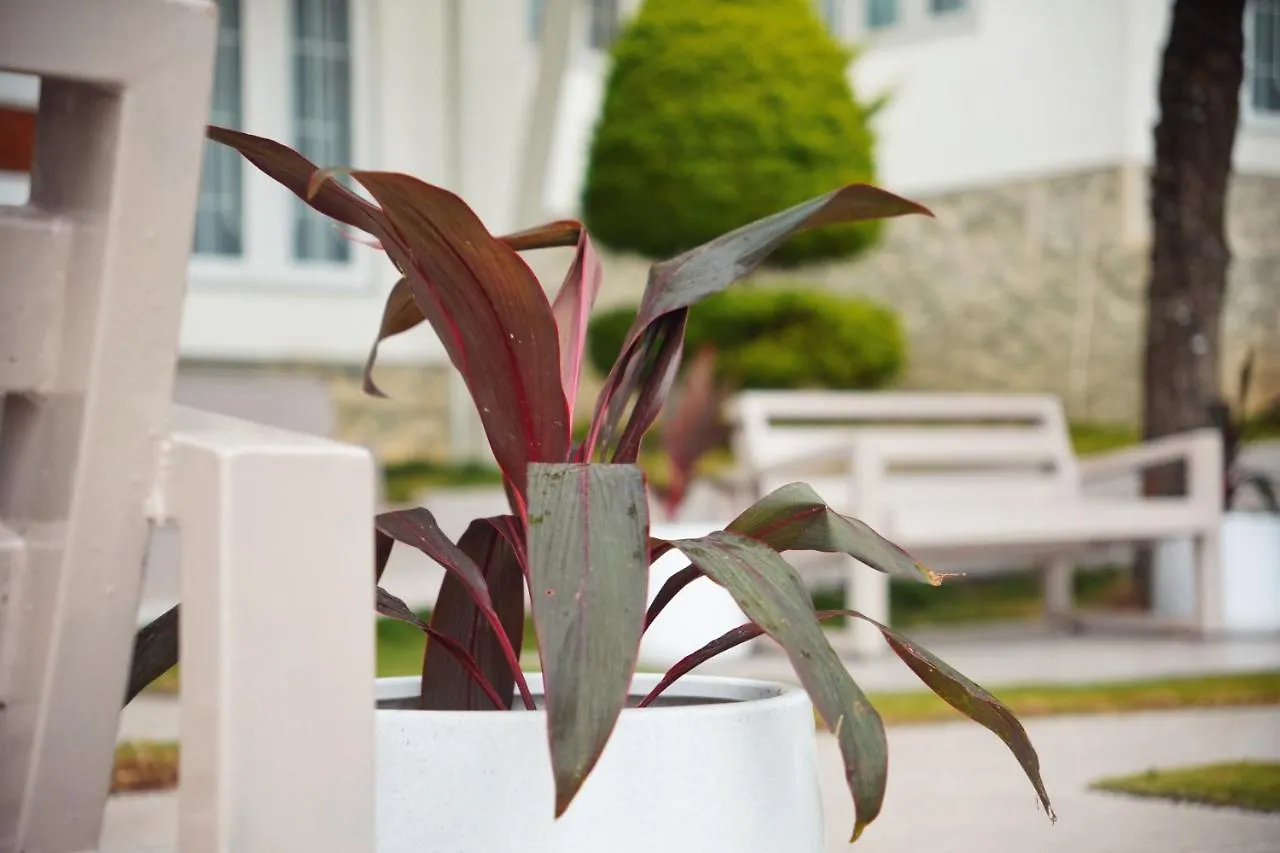 Resort The Regalia Munnar Hotel